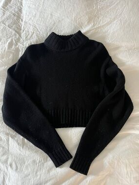 Wilfred Black Cropped Turtleneck Sweater